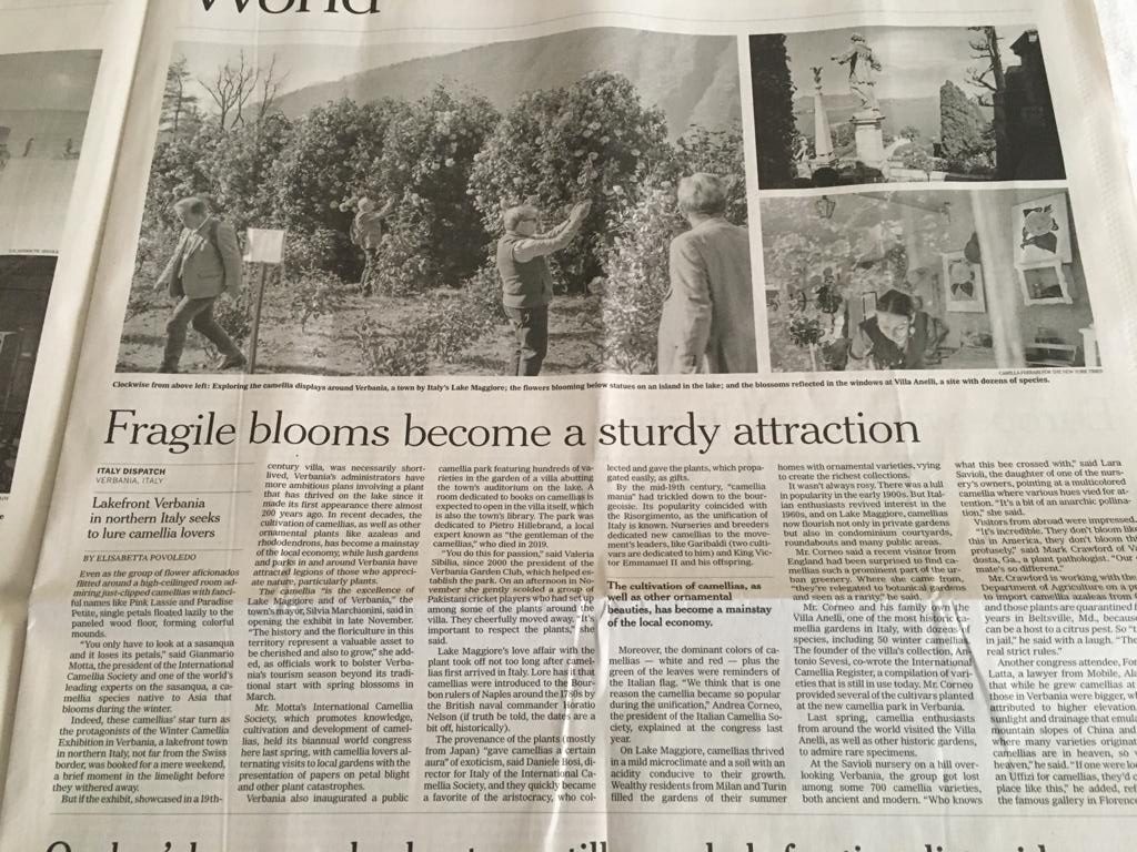 NYT International Edition